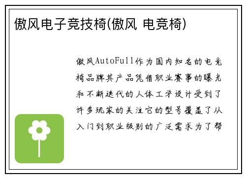 傲风电子竞技椅(傲风 电竞椅)